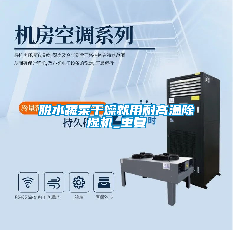 脫水蔬菜干燥就用耐高溫除濕機(jī)_重復(fù)