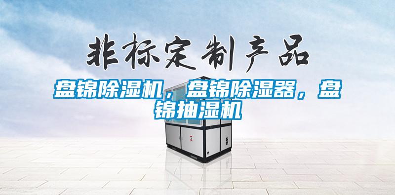 盤錦除濕機，盤錦除濕器，盤錦抽濕機