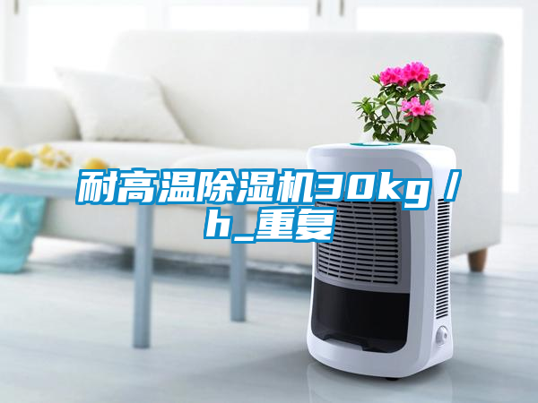 耐高溫除濕機(jī)30kg／h_重復(fù)