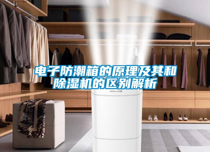 電子防潮箱的原理及其和除濕機(jī)的區(qū)別解析