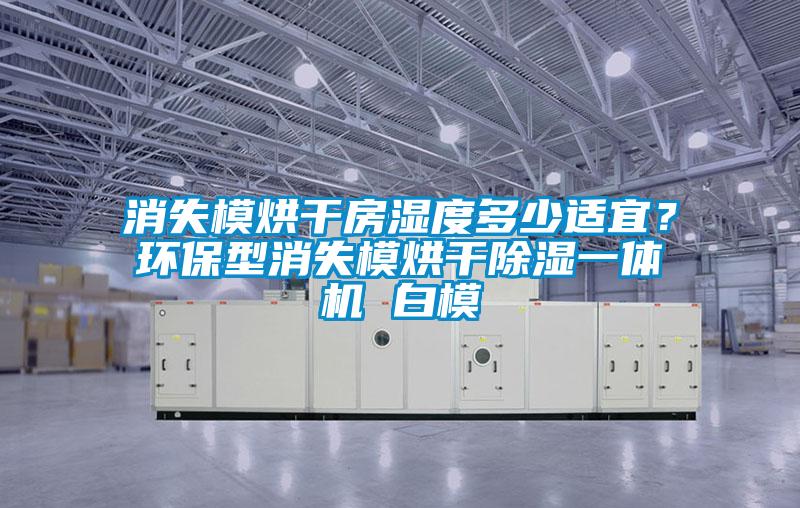 消失模烘干房濕度多少適宜？環(huán)保型消失模烘干除濕一體機(jī) 白模