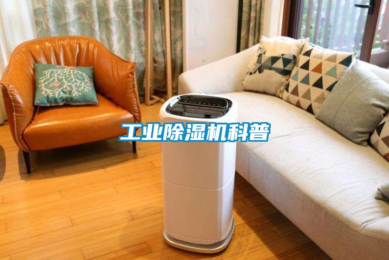 工業(yè)除濕機(jī)科普