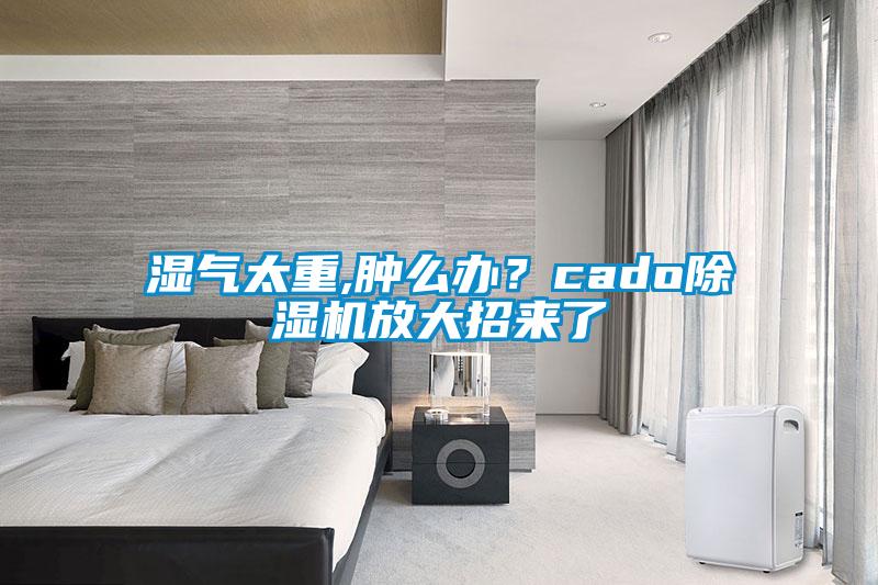 濕氣太重,腫么辦？cado除濕機(jī)放大招來了