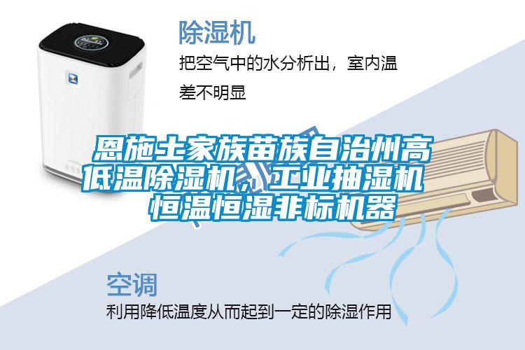 恩施土家族苗族自治州高低溫除濕機，工業(yè)抽濕機  恒溫恒濕非標機器