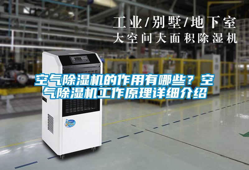 空氣除濕機的作用有哪些？空氣除濕機工作原理詳細介紹