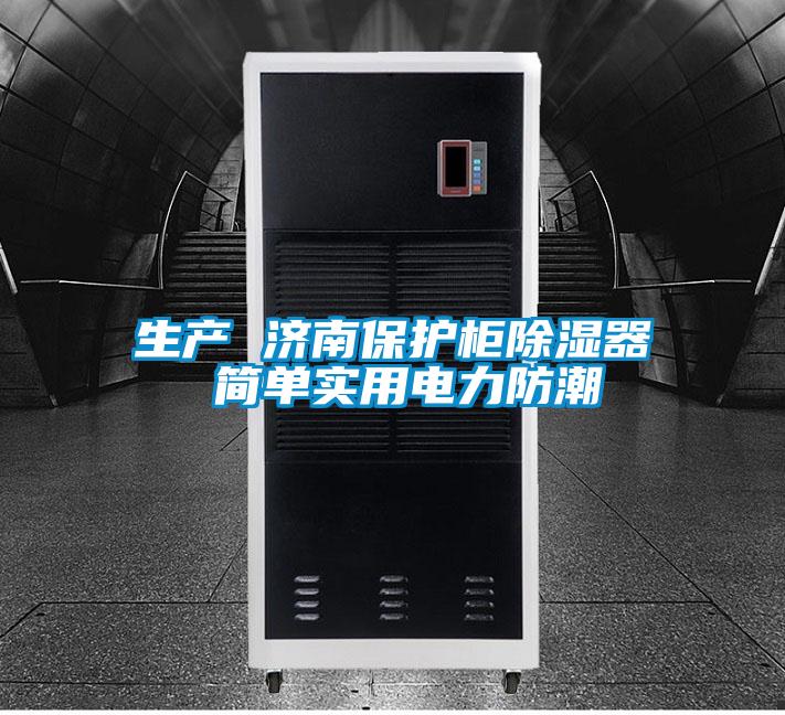 生產(chǎn) 濟(jì)南保護(hù)柜除濕器 簡單實(shí)用電力防潮