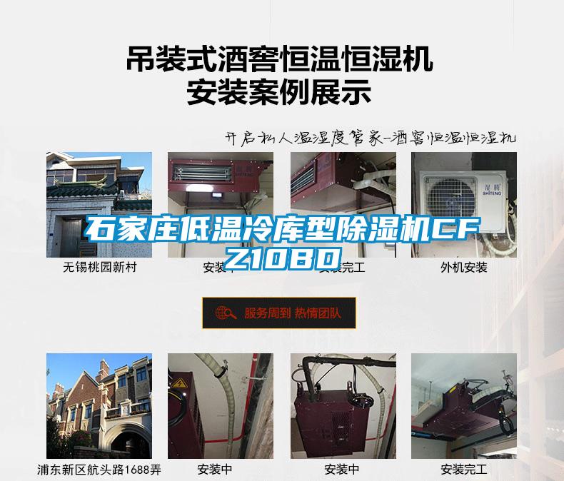石家莊低溫冷庫(kù)型除濕機(jī)CFZ10BD