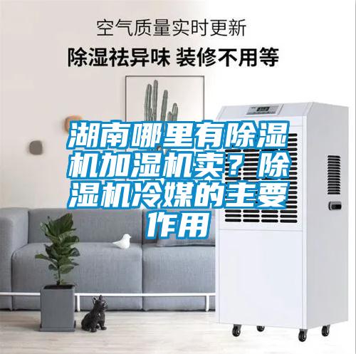 湖南哪里有除濕機(jī)加濕機(jī)賣？除濕機(jī)冷媒的主要作用