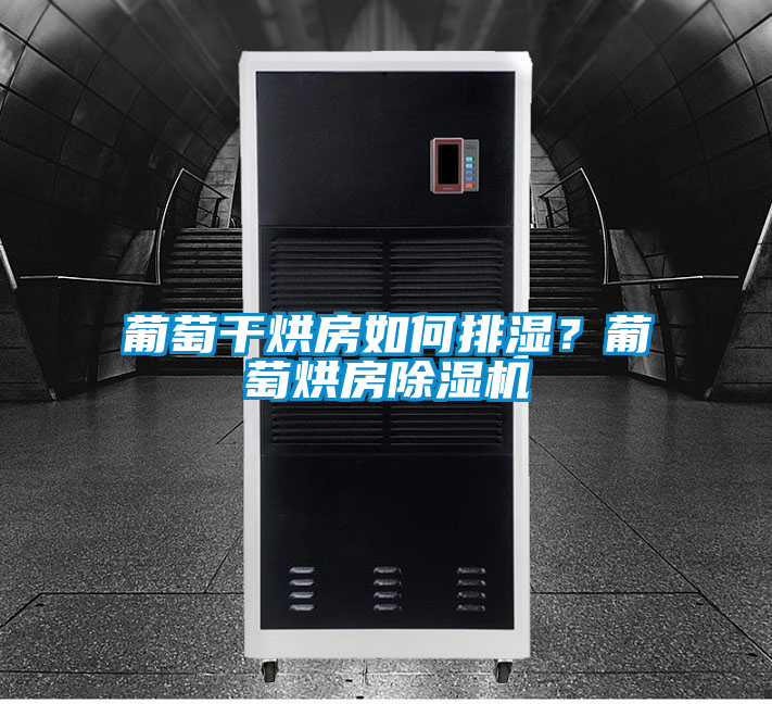 葡萄干烘房如何排濕？葡萄烘房除濕機(jī)