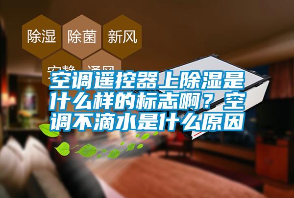 空調(diào)遙控器上除濕是什么樣的標(biāo)志啊？空調(diào)不滴水是什么原因