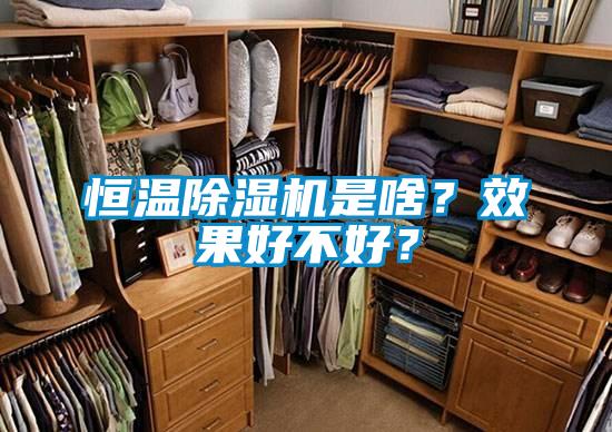 恒溫除濕機是啥？效果好不好？