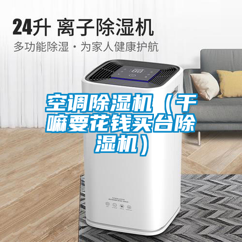 空調(diào)除濕機(jī)（干嘛要花錢買臺(tái)除濕機(jī)）