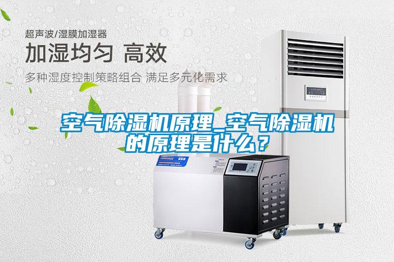 空氣除濕機(jī)原理_空氣除濕機(jī)的原理是什么？
