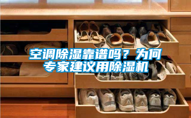 空調(diào)除濕靠譜嗎？為何專家建議用除濕機(jī)