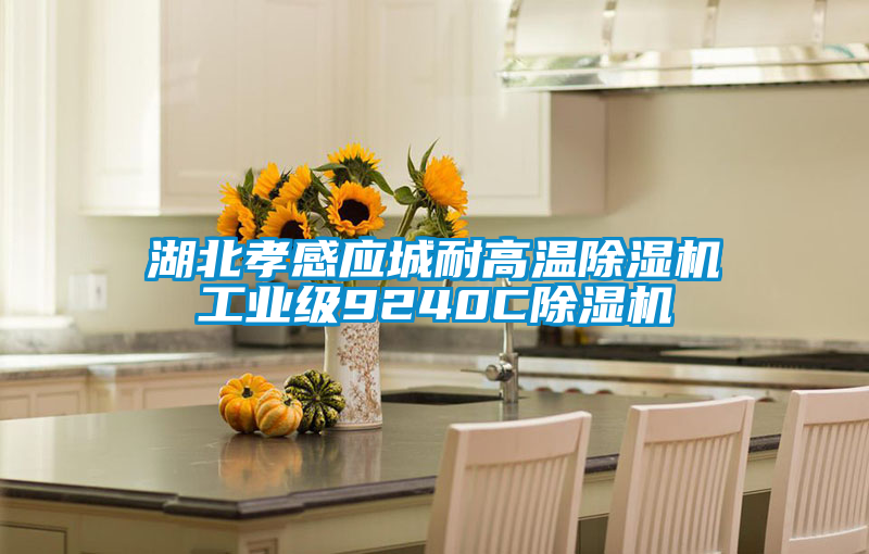 湖北孝感應(yīng)城耐高溫除濕機(jī)工業(yè)級(jí)9240C除濕機(jī)