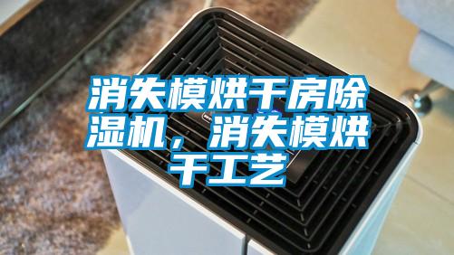 消失模烘干房除濕機(jī)，消失模烘干工藝