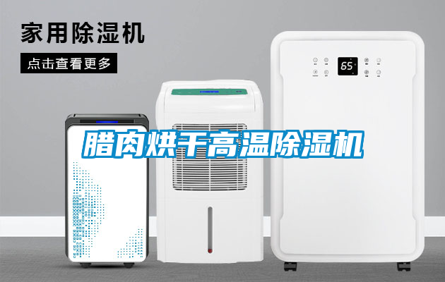 臘肉烘干高溫除濕機(jī)
