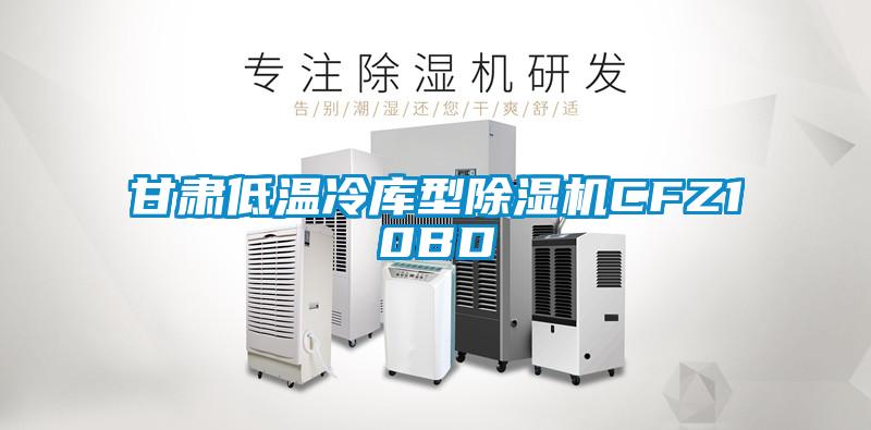 甘肅低溫冷庫型除濕機(jī)CFZ10BD