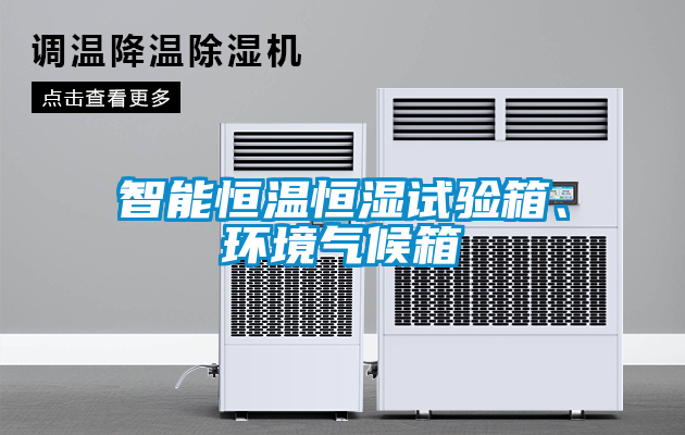 智能恒溫恒濕試驗箱、環(huán)境氣候箱