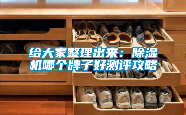 給大家整理出來(lái)：除濕機(jī)哪個(gè)牌子好測(cè)評(píng)攻略