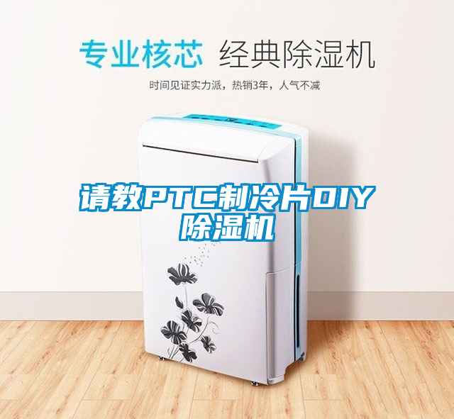 請(qǐng)教PTC制冷片DIY除濕機(jī)