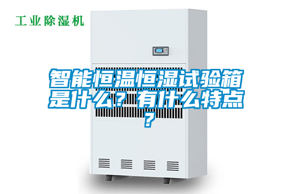 智能恒溫恒濕試驗箱是什么？有什么特點？