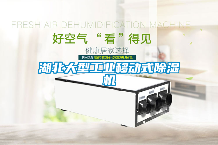 湖北大型工業(yè)移動(dòng)式除濕機(jī)