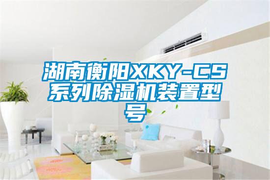 湖南衡陽XKY-CS系列除濕機(jī)裝置型號