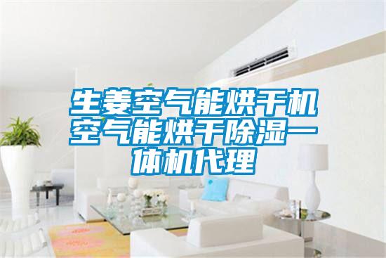 生姜空氣能烘干機(jī)空氣能烘干除濕一體機(jī)代理