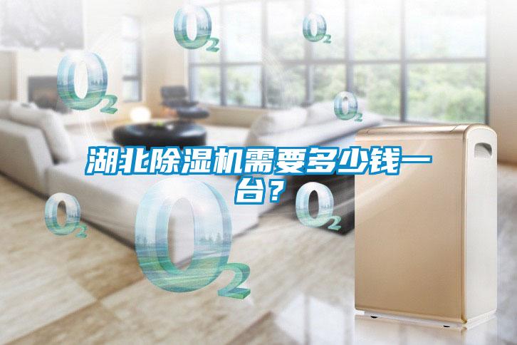 湖北除濕機(jī)需要多少錢一臺(tái)？
