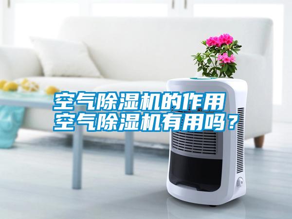 空氣除濕機的作用 空氣除濕機有用嗎？