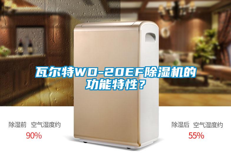 瓦爾特WD-20EF除濕機(jī)的功能特性？