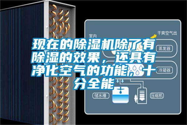 現(xiàn)在的除濕機(jī)除了有除濕的效果，還具有凈化空氣的功能，十分全能