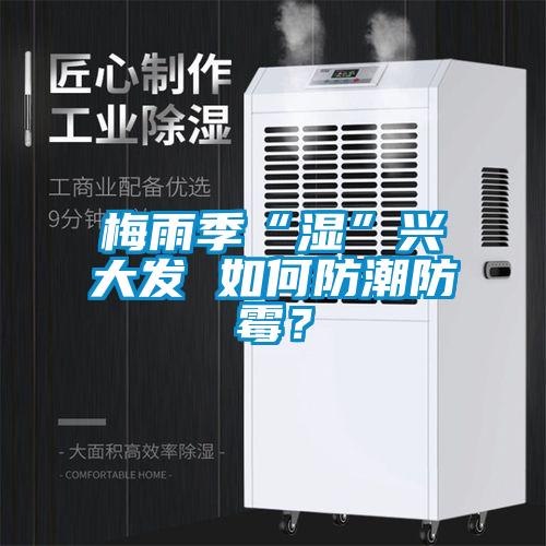 梅雨季“濕”興大發(fā) 如何防潮防霉？