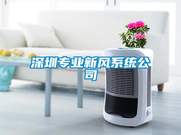 深圳專(zhuān)業(yè)新風(fēng)系統(tǒng)公司