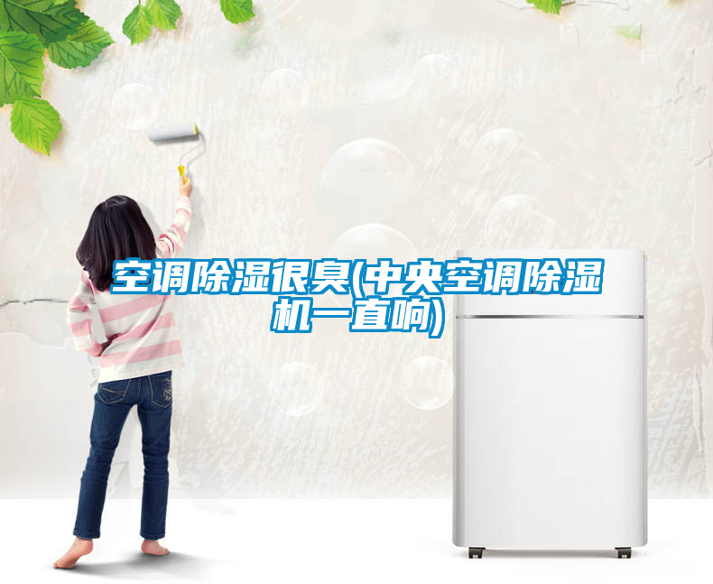空調(diào)除濕很臭(中央空調(diào)除濕機(jī)一直響)