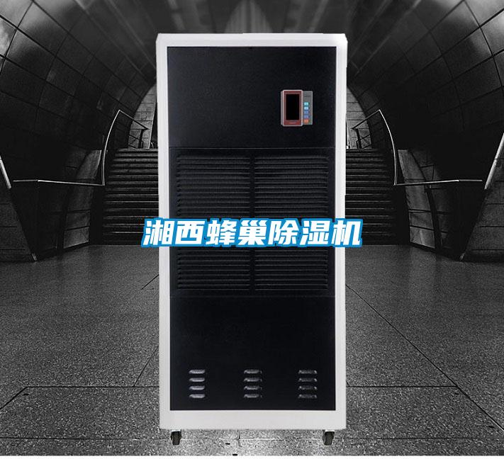 湘西蜂巢除濕機(jī)