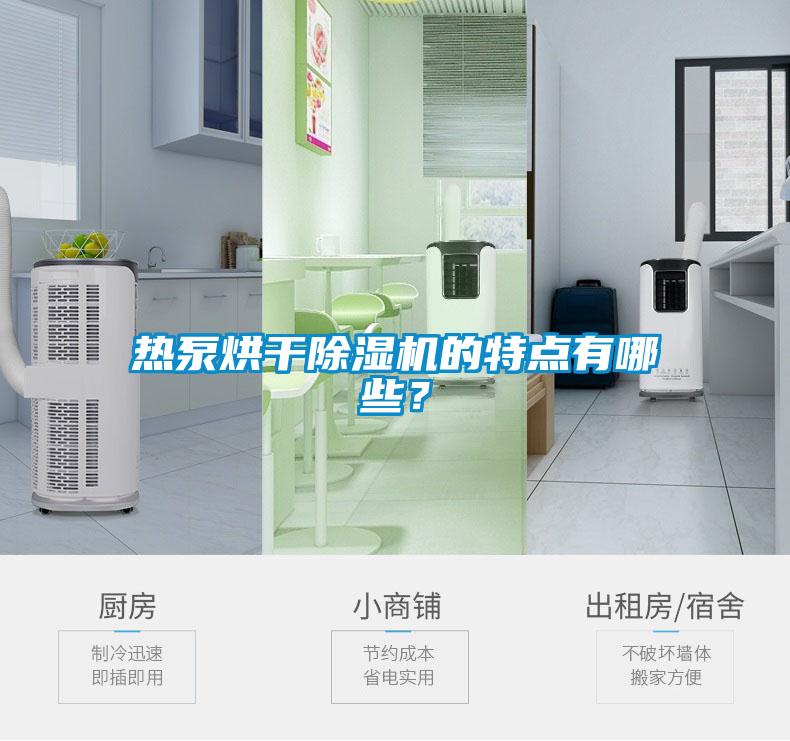 熱泵烘干除濕機(jī)的特點(diǎn)有哪些？