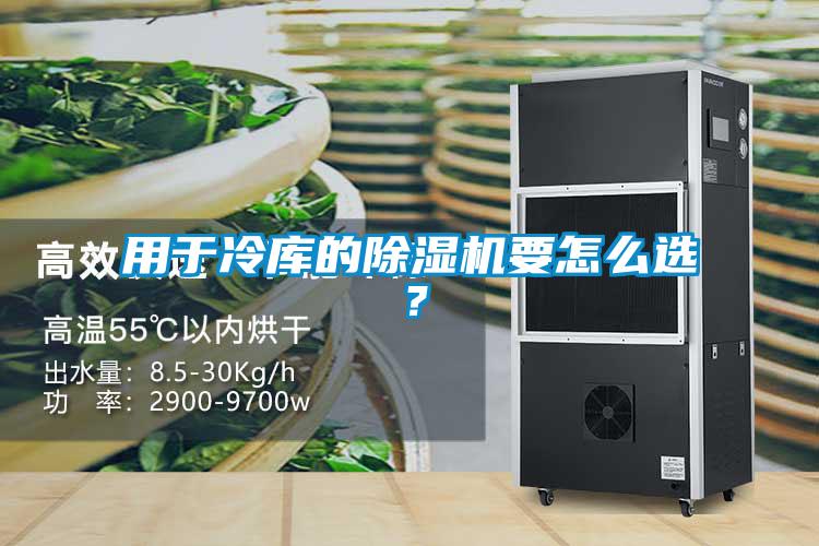 用于冷庫的除濕機要怎么選？