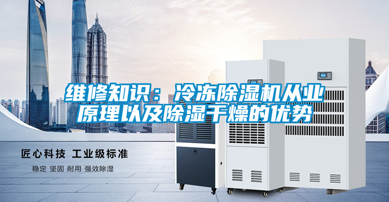 維修知識(shí)：冷凍除濕機(jī)從業(yè)原理以及除濕干燥的優(yōu)勢(shì)