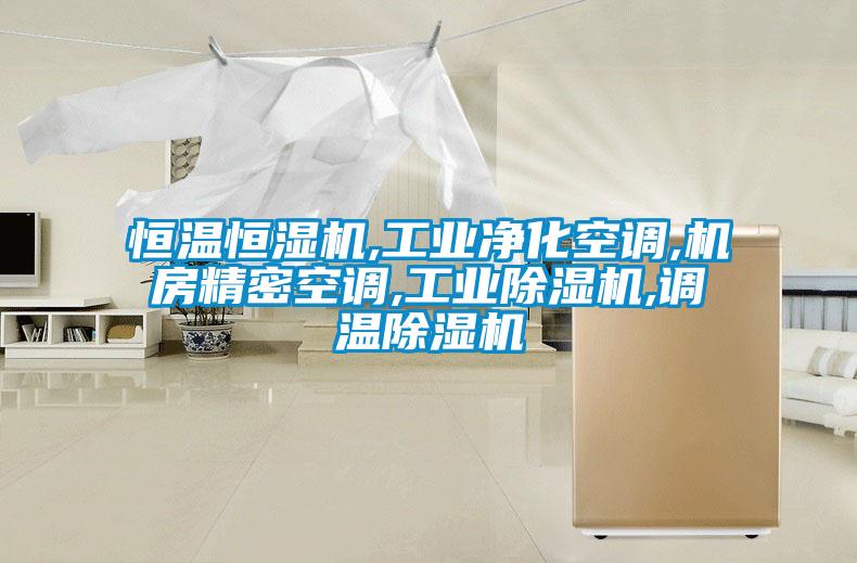 恒溫恒濕機,工業(yè)凈化空調,機房精密空調,工業(yè)除濕機,調溫除濕機