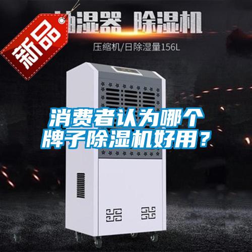 消費(fèi)者認(rèn)為哪個(gè)牌子除濕機(jī)好用？