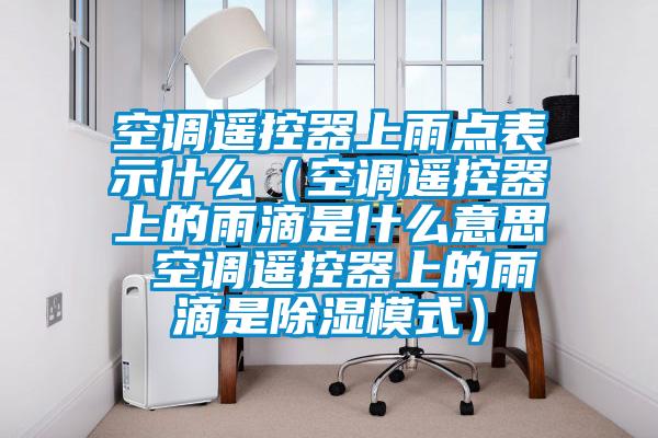 空調(diào)遙控器上雨點(diǎn)表示什么（空調(diào)遙控器上的雨滴是什么意思 空調(diào)遙控器上的雨滴是除濕模式）