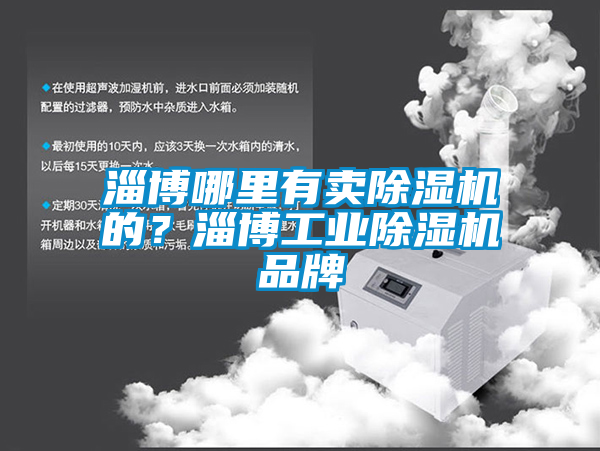 淄博哪里有賣(mài)除濕機(jī)的？淄博工業(yè)除濕機(jī)品牌
