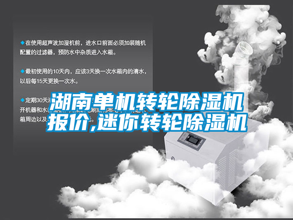 湖南單機轉(zhuǎn)輪除濕機報價,迷你轉(zhuǎn)輪除濕機