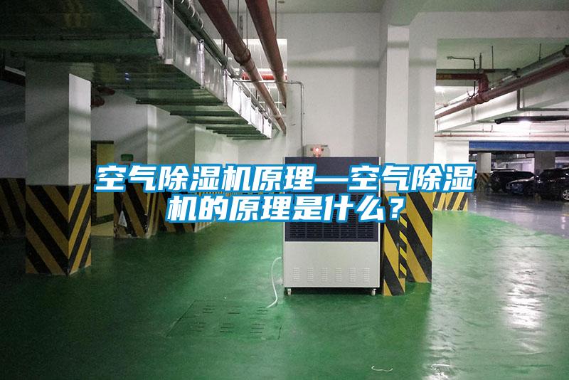 空氣除濕機(jī)原理—空氣除濕機(jī)的原理是什么？
