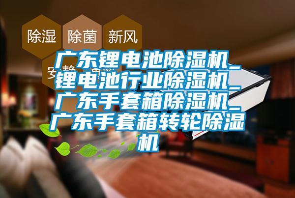 廣東鋰電池除濕機_鋰電池行業(yè)除濕機_廣東手套箱除濕機_廣東手套箱轉輪除濕機
