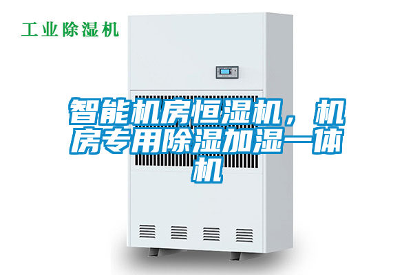 智能機(jī)房恒濕機(jī)，機(jī)房專用除濕加濕一體機(jī)