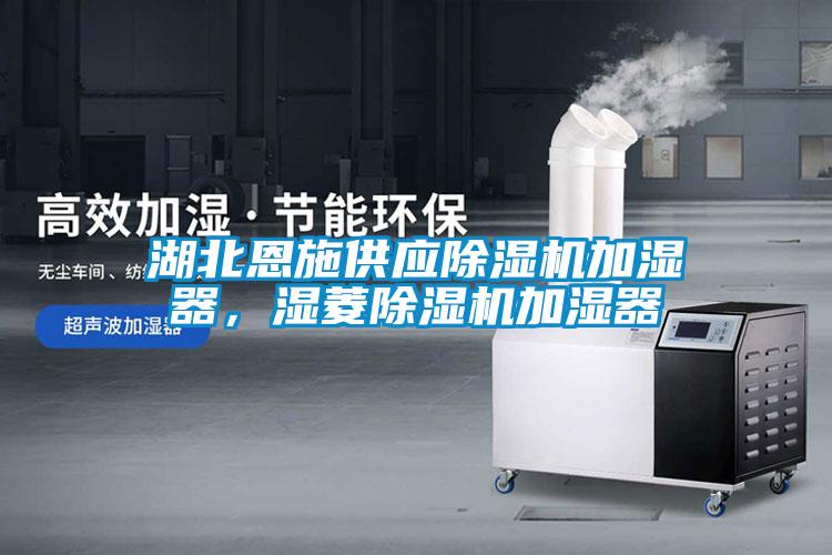 湖北恩施供應(yīng)除濕機(jī)加濕器，濕菱除濕機(jī)加濕器
