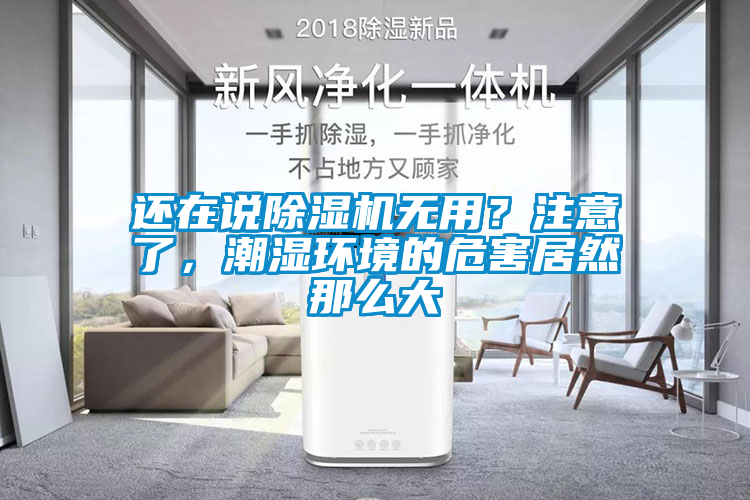 還在說除濕機(jī)無用？注意了，潮濕環(huán)境的危害居然那么大